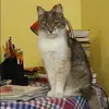 Отзыв от Екатерина Гладкова